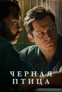 Чёрная птица (2022)