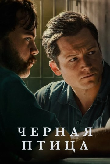 Чёрная птица Чёрная птица