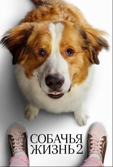 Собачья жизнь 2